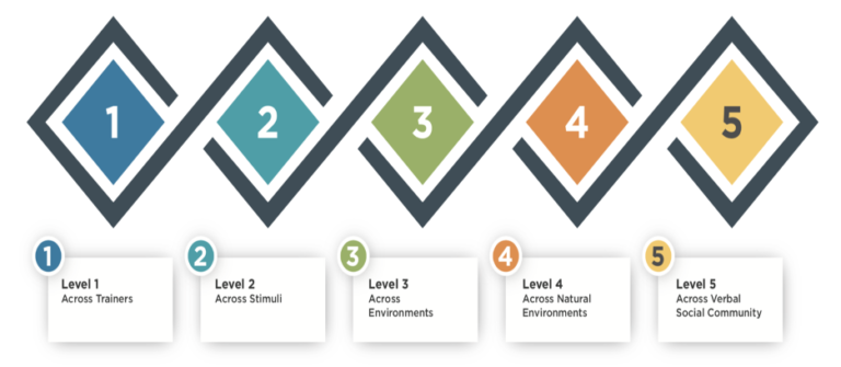 Teach For Generalization With The R.E.A.L. Model! - Different Roads to ...