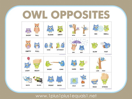 Autism Awareness Month Free Owl Opposites Flashcard Activity Different Roads To Learning Blog